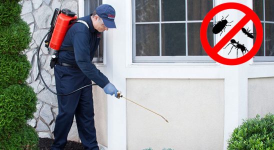 Yenifakılı Akrep İlaçlama böcek ilaçlama ve haşere kontrolü — ilaclama-tr.com